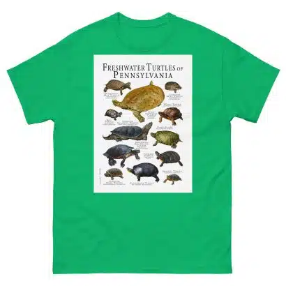 Freshwater Turtles of Pennsylvania - Men's classic tee - Image 6