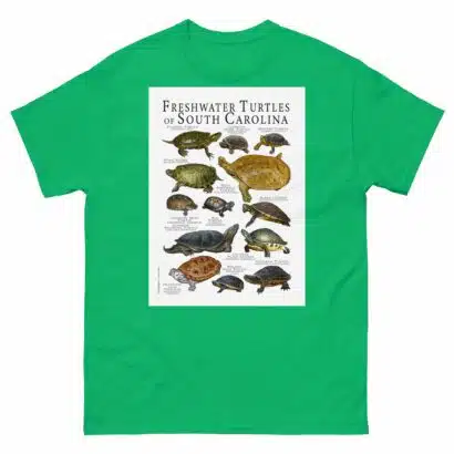 Freshwater Turtles of South Carolina - Men's classic tee - Image 6