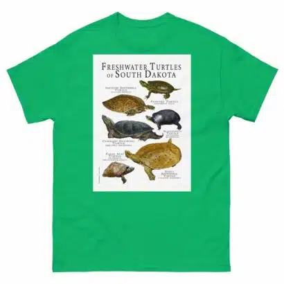Freshwater Turtles of South Dakota - men's classic tee - Image 6