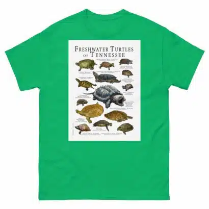 Freshwater Turtles of Tennessee - Men's classic tee - Image 6