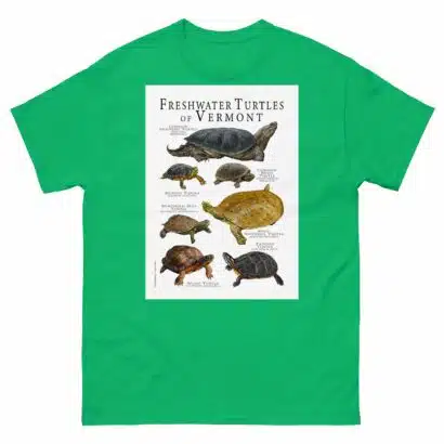 Freshwater Turtles of Vermont - Men's classic tee - Image 6