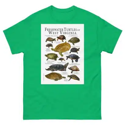 Freshwater Turtles of West Virginia - Men's classic tee - Image 6