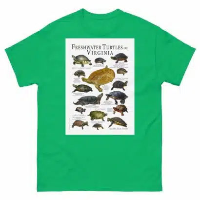 Freshwater Turtles of Virginia - Men's classic tee - Image 6