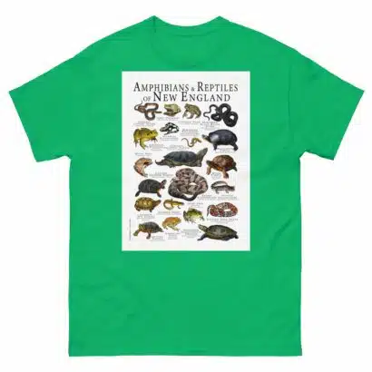 Amphibians & Reptiles of New England - Men's classic tee - Image 6