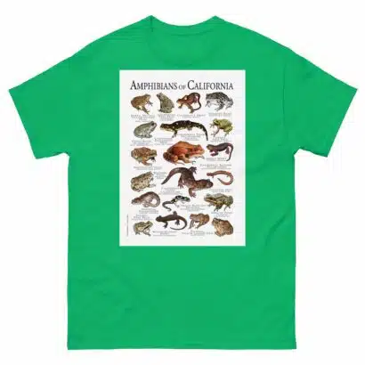 Amphibians of California - Men's classic tee - Image 6