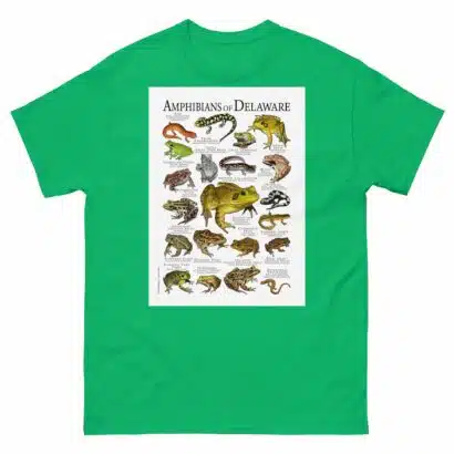 Amphibians of Delaware - Men's classic tee - Image 6