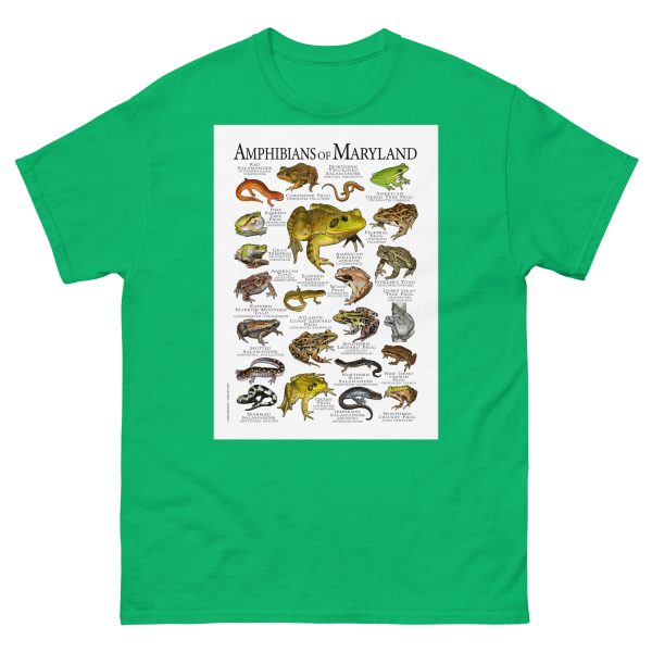 Amphibians of Maryland - Men's classic tee - Image 6