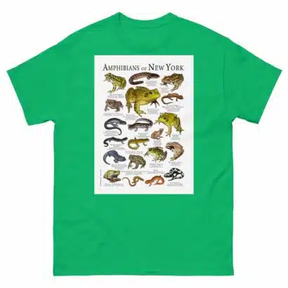 Amphibians of New York - Men's classic tee - Image 6