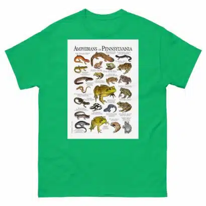 Amphibians of Pennsylvania - Men's classic tee - Image 6