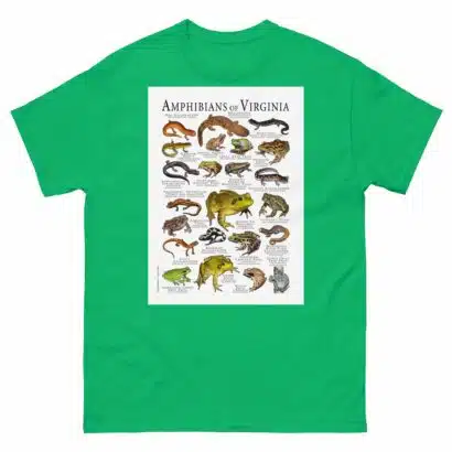 Amphibians of Virginia - Men's classic tee - Image 6