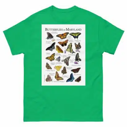 Butterflies of Maryland - Men's classic tee - Image 6