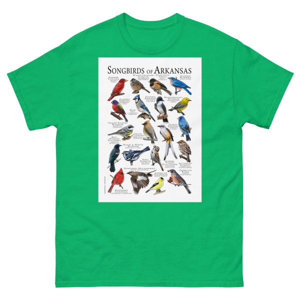 Songbirds of Arkansas Men's classic tee - Image 6