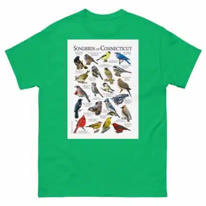 Songbirds of Connecticut - Men's classic tee - Image 6