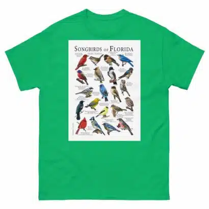 Songbirds of Florida - Men's classic tee - Image 6