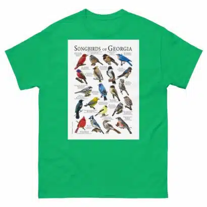 Songbirds of Georgia - Men's classic tee - Image 6