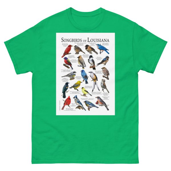 Songbirds of Louisiana - Men's classic tee - Image 6