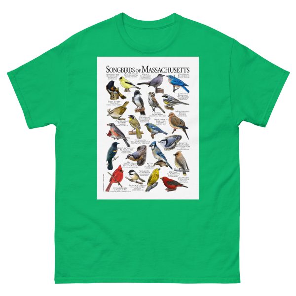 Songbirds of Massachusetts - Men's classic tee - Image 6