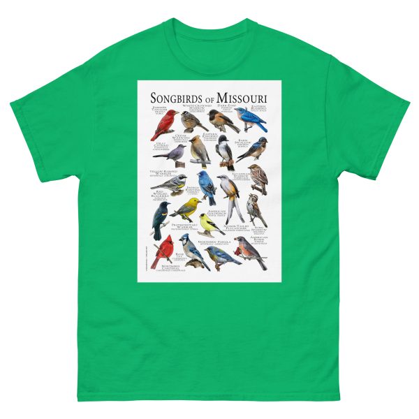 Songbirds of Missouri - Men's classic tee - Image 6