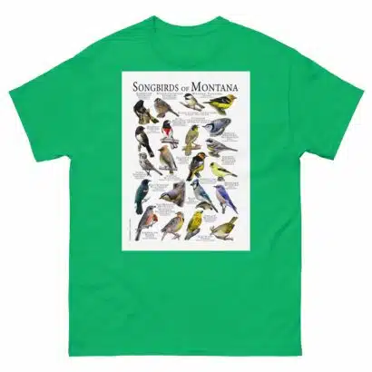 Songbirds of Montana - Men's classic tee - Image 6
