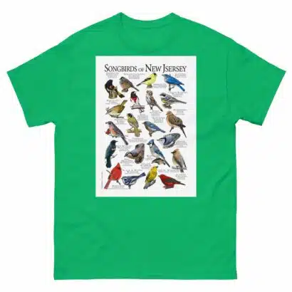 Songbirds of New Jersey - Men's classic tee - Image 6