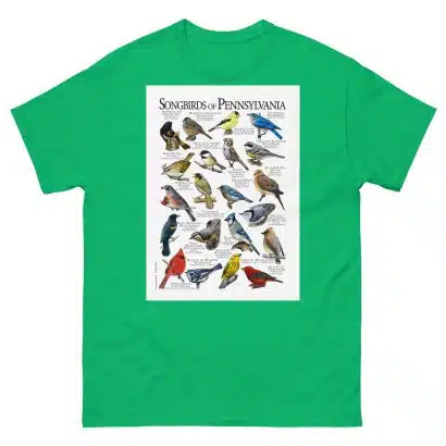 Songbirds of Pennsylvania - Men's classic tee - Image 6
