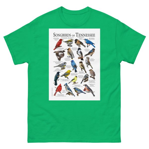 Songbirds of Tennessee - Men's classic tee - Image 6