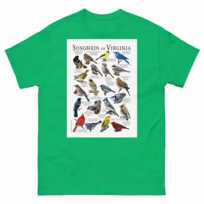 Songbirds of Virginia - Men's classic tee - Image 6