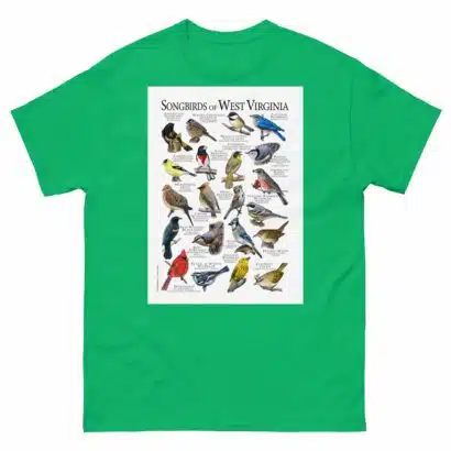 Songbirds of West Virginia - Men's classic tee - Image 6