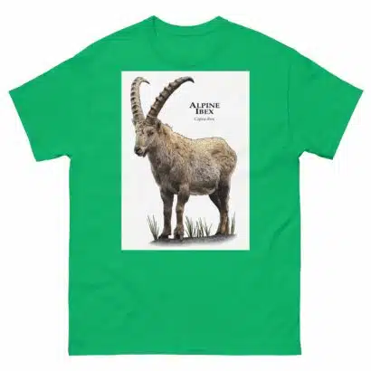 Alpine Ibex - Men's classic tee - Image 6