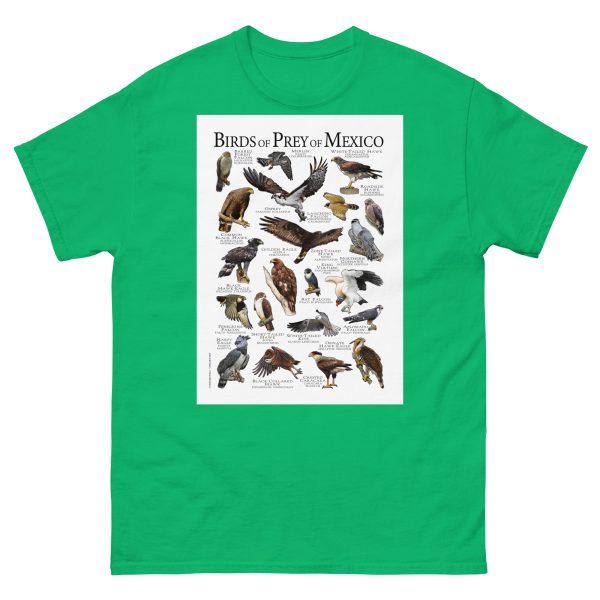 Birds of Prey of Mexico - Men's classic tee - Image 6
