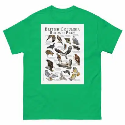 British Columbia Birds of Prey - Men's classic tee - Image 6