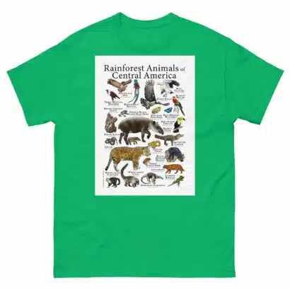 Rainforest Animals of Central America - Men's classic tee - Image 6