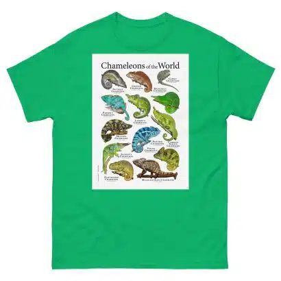 Chameleons of the World - Men's classic tee - Image 6