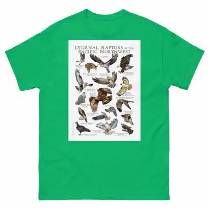 Diurnal Raptors of the Pacific Northwest - Men's classic tee - Image 6