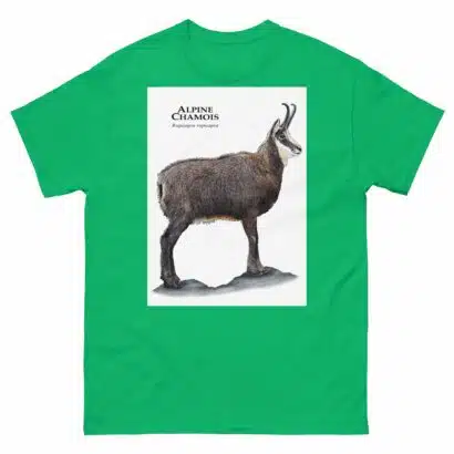 Alpine Chamois - Men's classic tee - Image 6