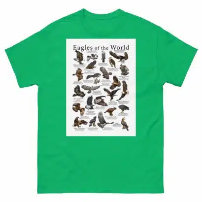 Eagles of the World - Men's classic tee - Image 6