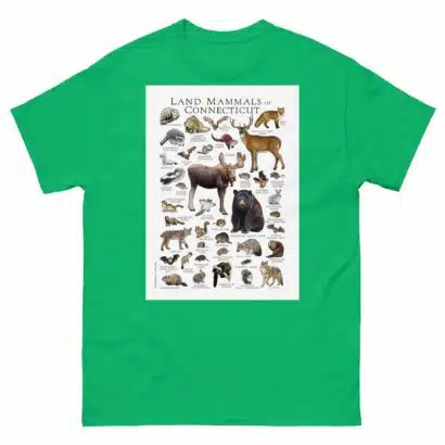 Land Mammals of Connecticut - Men's classic tee - Image 6