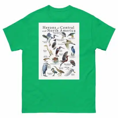 Herons of North and Central America - Men's classic tee - Image 6