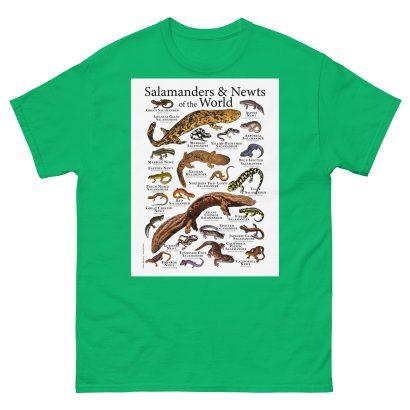 Salamanders & Newts of the World - Men's classic tee - Image 6