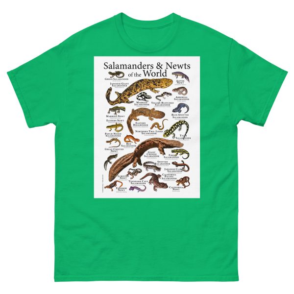 Salamanders & Newts of the World - Men's classic tee - Image 6