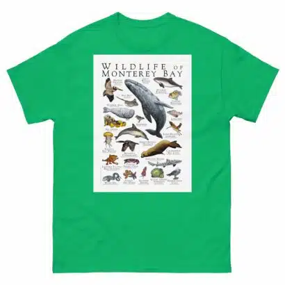 Wildlife of Monterey Bay - Men's classic tee - Image 6