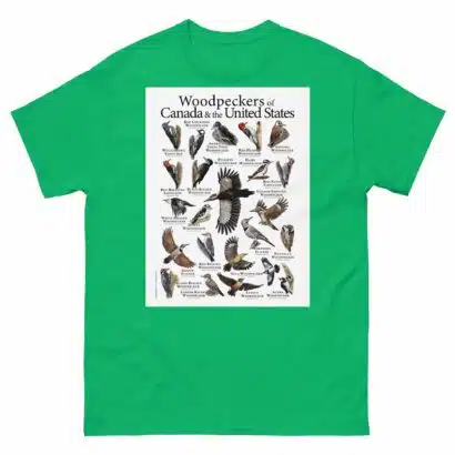 Woodpeckers of the USA & Canada Men's classic tee - Image 6