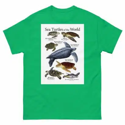 Sea Turtles of the World - Men's classic tee - Image 6