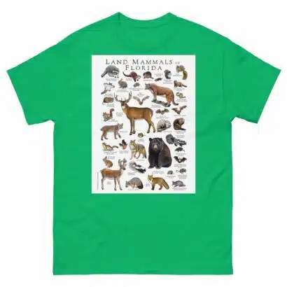 Land Mammals of Florida - Men's classic tee - Image 6