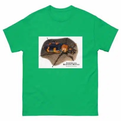American Burying Beetle - Men's classic tee - Image 6
