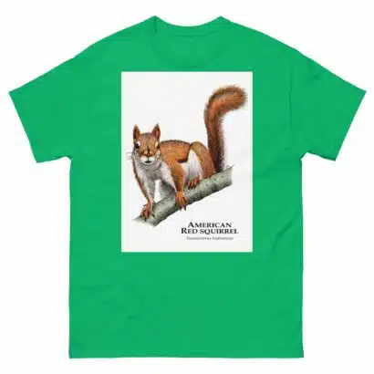 American Red Squirrel - Men's classic tee - Image 6