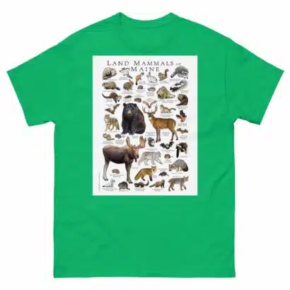Land Mammals of Maine - Men's classic tee - Image 6