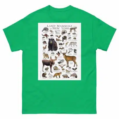 Land Mammals of New York - Men's classic tee - Image 6
