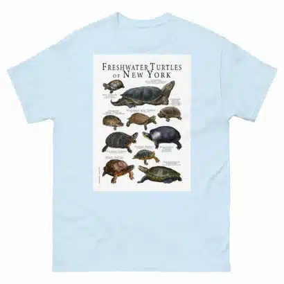 Freshwater Turtles of New York - Men's classic tee - Image 10