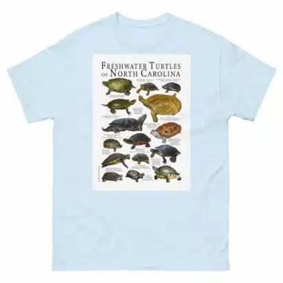Freshwater Turtles of North Carolina - Men's classic tee - Image 10